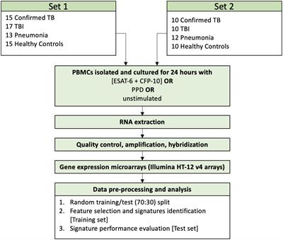 Novel RNA biomarkers improve discrimination of children with tuberculosis disease from those with non-TB pneumonia after in vitro stimulation